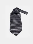 ASCOT.webp