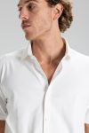pellini-main-PO-SD26406-NVY-Mercerized-Plain-2